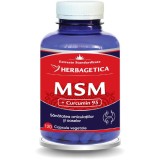 MSM + Curcumin 95 120cps