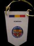 D9 2 - fanion - militar - Brigada 81 Bistrita - 2002