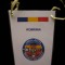 D9 2 - fanion - militar - Brigada 81 Bistrita - 2002