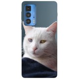 Husa compatibila cu Motorola Moto G71 5G model Heterochromia cat, Silicon, TPU, Viceversa