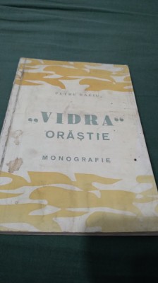FABRICA VIDRA ORASTIE PETRU BACIU MONOGRAFIE foto