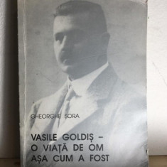 Gheorghe Sora - Vasile Goldis- O Viata de Om asa cum a fost