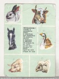 Bnk cld Calendar de buzunar - 1983 - RECOOP