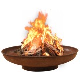 vidaXL Vatră de foc, 80 cm, oțel