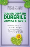 Cum sa depasim durerile cronice si acute. Solutii de tratament bazate pe tipul dumneavoastra emotional - Marc S. Micozzi, Sebhia M. Dibra