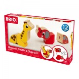 Cumpara ieftin Brio - Girafa Si Elefant Magnetici
