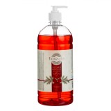 Săpun Lichid Fiorevita Design Ramuri și Fundiță Roșie Capacitate 1L Aromă Scorțișoară