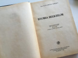 PROF. EMILIAN VASILESCU, ISTORIA RELIGIILOR. EDITURA IBM AL BOR 1982/ PF IUSTIN