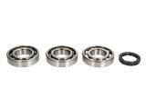 Cumpara ieftin Lagare cu arbore cotit set cu garnituri pentru POLARIS ATP, HAWKEYE, SCRAMBLER, SPORTSMAN 400/450/500 1998-2014