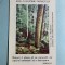 Calendar 1982 ocrotiți natura