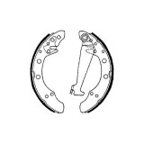 Set saboti frana Delphi LS1625, parte montare : Punte Spate