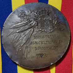 SV * Medalia MINISTERUL AGRICULTURII ȘI DOMENIILOR 1923 * 60 mm