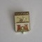 QW9 N4 40 - insigna - orase - Kodsnos - Rusia