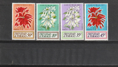 Flora,Craciun1977 ,Trinidad . foto
