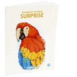 Carte de colorat pentru adulti Number by number Surprise 1