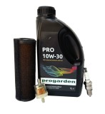 Pachet revizie motor benzina Loncin LC168F-2H ProAdvanced PowerfulTools, Stager