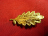 Insigna Frunza de Stejar -1972 -Nationala Tineret RFG ,L=5cm