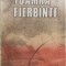 TOAMNA FIERBINTE-ION LANCRANJAN-193518