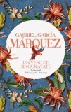 Un veac de singuratate/Gabriel Garcia Marquez