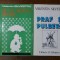 Praf si pulbere + De ce radeau gepizii - Valentin Silvestru/ R5P4F