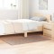 vidaXL Covor Shaggy Antiderapant Maro 80 x 150 cm PP 4019790