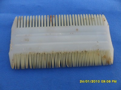 PIEPTENE ARHAIC foto