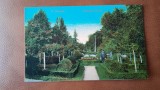 Carte postala, Turnu Severin Gradina Publica, perioada interbelica
