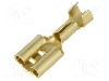 Terminal tip plat, pentru surub {{Orificiu pentru &amp;#351;urub}}, TE Connectivity - 1-160304-0