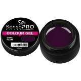 Cumpara ieftin Gel UV Colorat Dark Plum 5ml, SensoPRO Milano