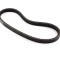 Curea transmisie 775x18.3x30,Sym Orbit 4T