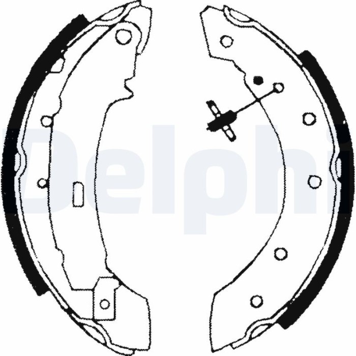 DELPHI LS1717 Set saboti frana