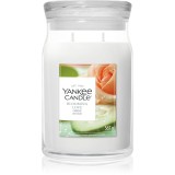 Yankee Candle Blooming Love lum&acirc;nare parfumată 567 g