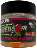 Wafters SENZOR Mucusori Artificial, Capsuna Usturoi, 5mm, 20buc