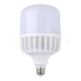 Bec Led &ndash; MoonLight T160 E40 100w/6400k