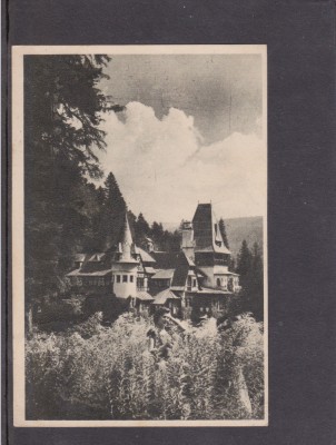 MRC - CARTI POSTALE SINAIA NR 7 foto