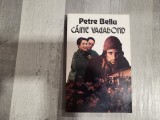 Caine vagabond de Petre Bellu