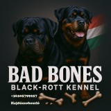 Vand pui Rottweiler, Pedigree