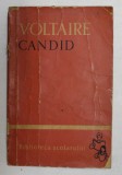 CANDID de VOLTAIRE , 1960