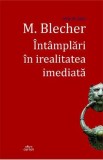 Intamplari in irealitatea imediata - M. Blecher