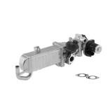 BorgWarner (Wahler) Modul-EGR OE-Version/Genuine