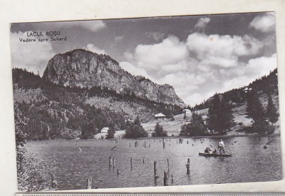 bnk cp Lacul Rosu - Vedere spre Suhard - circulata foto