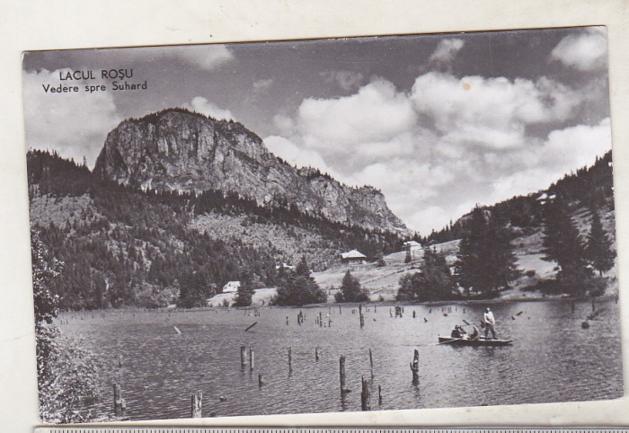 bnk cp Lacul Rosu - Vedere spre Suhard - circulata