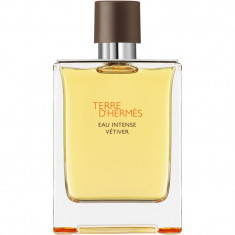 HERMÈS Terre d’Hermès Eau Intense Vétiver Eau de Parfum pentru bărbați 200 ml