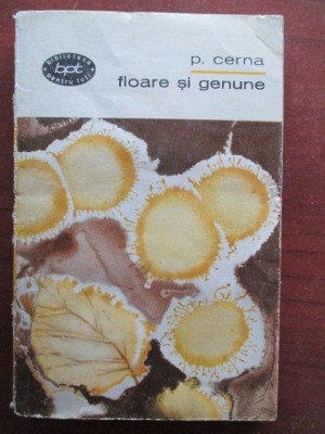 floare si genune foto