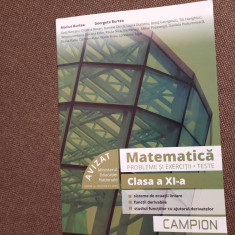 MATEMATICA TESTE PROBLEME SI EXERCITII CLASA A XI A BURTEA