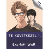 Te k&ouml;vetkezel I. - Scarlett Wolf
