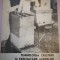 Tehnologia cresterii si exploatarii albinelor - Lia C. Spataru etc