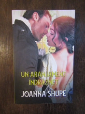 JOANNA SHUPE - UN ARANJAMENT INDRAZNET foto