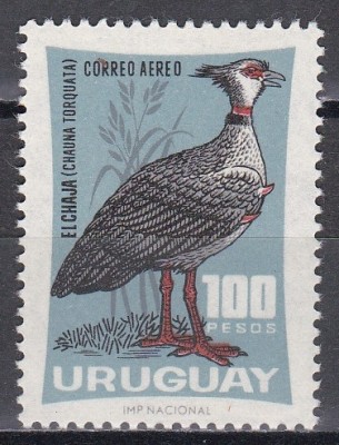 Uruguay 1966 - Faună, Cota 10.50 Euro, MNH foto