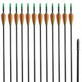 Săgeți pentru arc curbat 30&quot;, 0,6 cm, 12 buc., fibră de sticlă